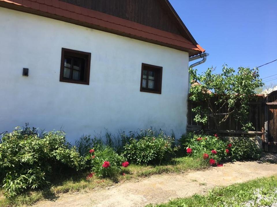Miklos Lak Ocna de Sus Екстериор снимка